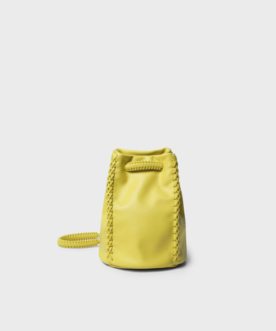 Pouch Bag in Lemon Smooth Leather